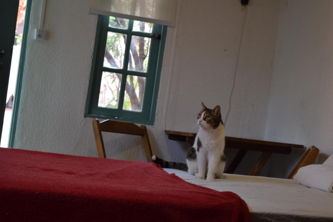 Hobi Hostel 圣保罗 外观 照片